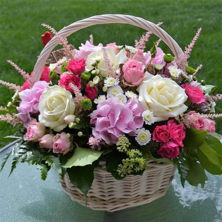 Принцесса от 18 200 руб.